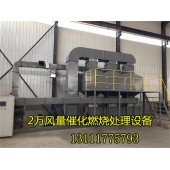 5千風(fēng)量活性炭脫附催化燃燒裝置內(nèi)部結(jié)構(gòu)說明