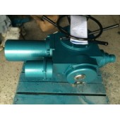 整體型閥門電動(dòng)裝置DZW20-24-A00-WK